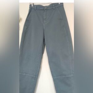 Size 0 everlane barrel pants